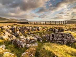 yorkshire {{brizy_dc_image_alt imageSrc=